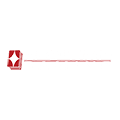 Realtime Gaming Logo